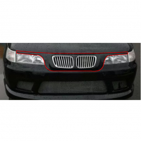 Решетка радиатора БМВ усатая ВАЗ 2110, 2111, 2112 (окрашенная)