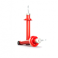 Амортизаторы задние газонаполненные "ALTERNATIVE" "PRO ST" Лада Гранта, Датсун (с занижением -120 мм)