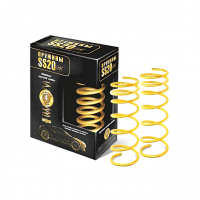 Пружины передние холодной навивки "SS20" "Gold Progressive" ВАЗ 2108-099, 2110-12 (8 кл), 2113-15 (переменный шаг) (SS30124)