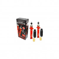 Амортизаторы задние "SS20" "Racing Спорт" ВАЗ 2108-15, Лада Калина 1-2, Приора, Гранта (с занижением -50 мм) (SS20169)