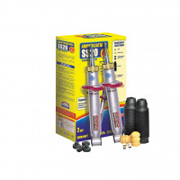 Амортизаторы задние "SS20" "Шоссе" ВАЗ 2108-099, 2113-15 (SS20123)